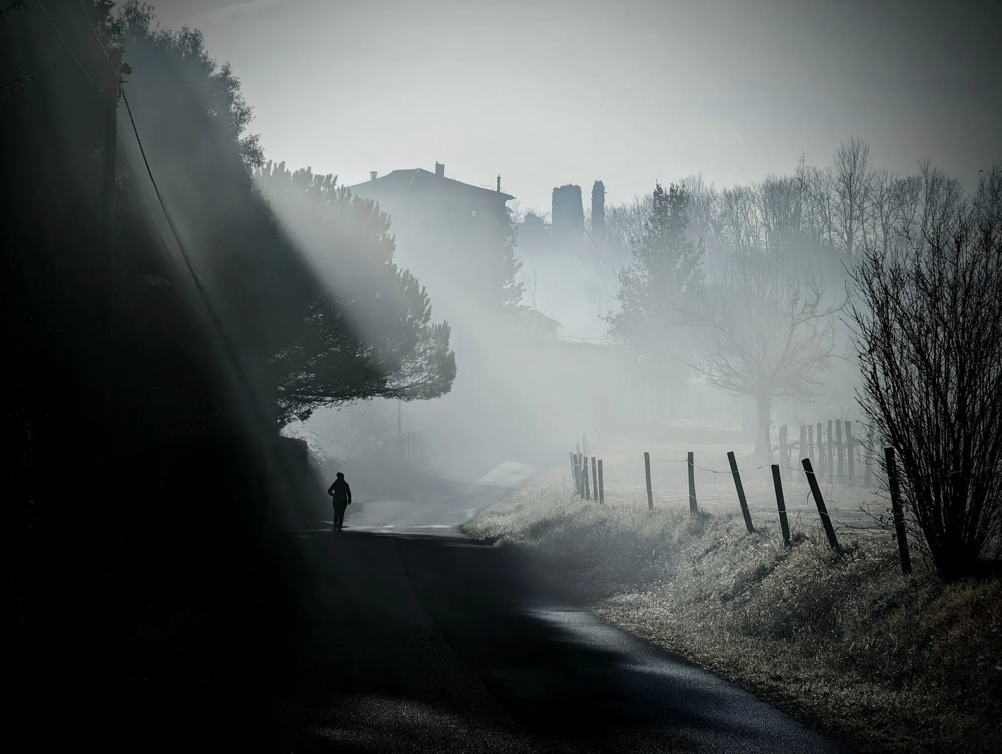 Una strada di campagna nella nebbia del mattino: una persona cammina da sola nella penombra, mentre fasci di luce filtrano tra gli alberi e una casa si intravede appena sulla collina.